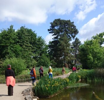 Gehmeditation Botanischer Garten Bonn